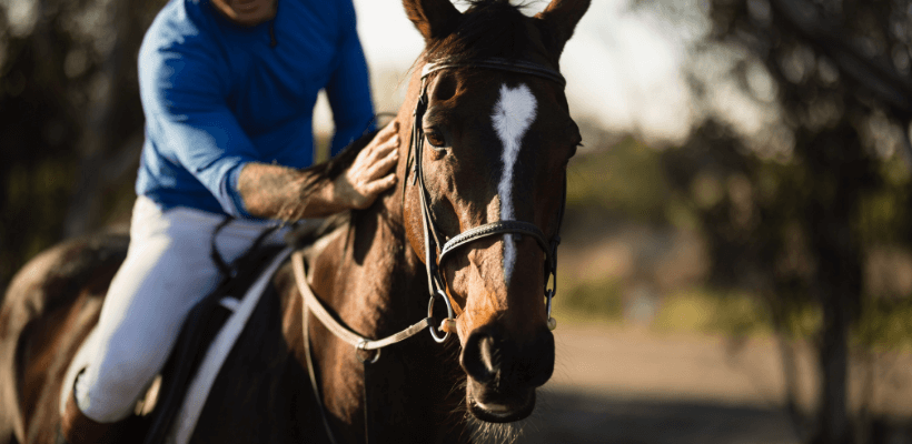Cavalier avec son cheval